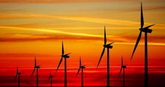 Report finds wind power did a wonderful job helping the US cut carbon emissions in 2013