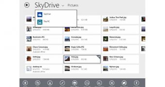 SkyDrive is a file manager for locally-stored files and items saved in the cloud