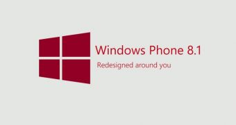 Windows Phone 8.1 logo