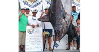Woman Bags $1.2 (€860K) Million Marlin in Mexico Tournament