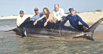 Stephanie Choate catches a monster black marlin