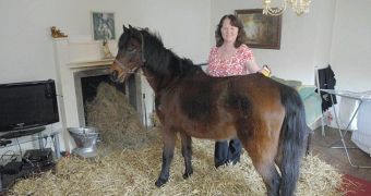 Woman in Cheshire shares her home with a pony
