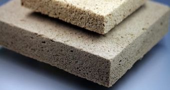 Scientists say that wood foam can replace conventional insulating materials currently in use