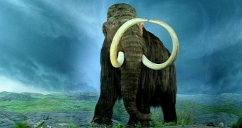 Woolly mammoths could soon walk among us once more