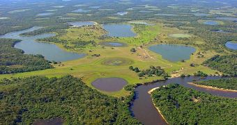 View of the Pantanal from the air