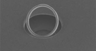 Microscope image of the diamond ring
