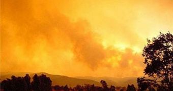 World-First Fire Tornado Confirmed by Canberra Researchers
