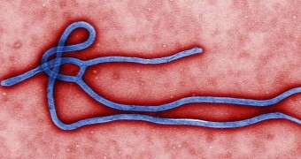 Ebola drug trials given the green light, will soon begin
