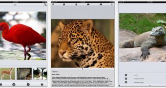 World of Zoo iPad screenshots