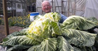 This giant cauliflower surpassed the previous record by 6.6lb (3kg)