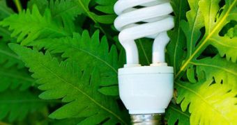 IEA urges world leaders to promote energy efficiency
