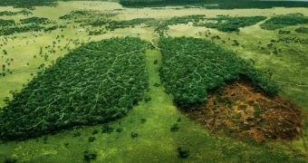 WWF Uganda wants to plant 500,000 trees in order to mark this year's Earth Hour