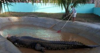 World's largest crocodile dies in captivity