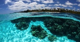 New Caledonia established the world's largest protected area