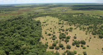 Bolivia designates the world's largest protected wetlands