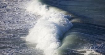 Companies team up to harvest wave energy off Australia's coast