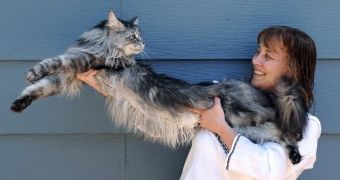 World's longest cat dies because of cancer