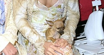 Tinkerbell in 2013, with Paris and Nicky Hilton