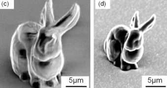 World's smallest bunny is no bigger than a single bacterium