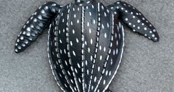 Leatherback turtles are threatened by climate change