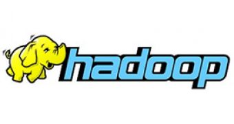 There will be only one Hadoop, not counting Cloudera enterprise-oriented flavor