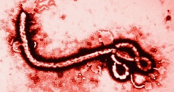 The US gets its third Ebola patient