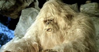 Researcher believes Yeti is the love child of a polar bear and a brown one