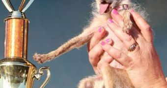 Yoda is named World’s Ugliest Dog for 2011