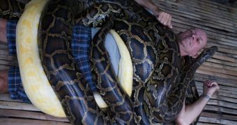 Zoo offers visitors snake massages