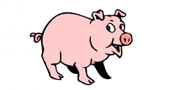 “You Pig!” Emails Allegedly Containing Incriminating Pictures Spread Trojan