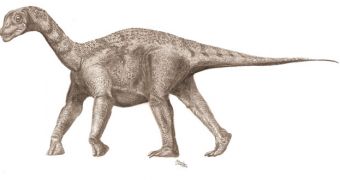Juvenile titanosaur. The bony scales on its back could protect it from predators