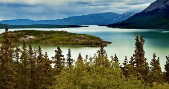 Yukon Territory Reveals Past Climate Changes in the Arctic