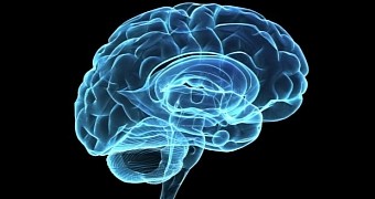 Researchers propose zapping the brain to treat schizophrenia