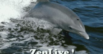 ZenLive Linux Live CD