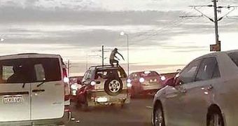Australian man rams into cars