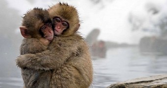 Japan names monkey after Princess Charlotte Elizabeth Diana