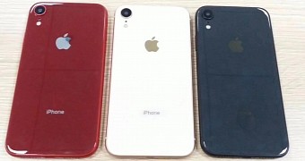 Alleged 6.1-inch LCD iPhone