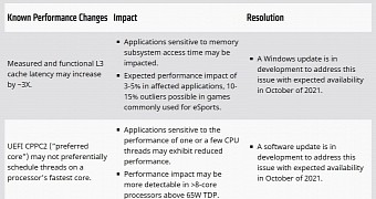 AMD issues on Windows 11