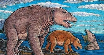Researchers document new mammal species that lived in ancient times