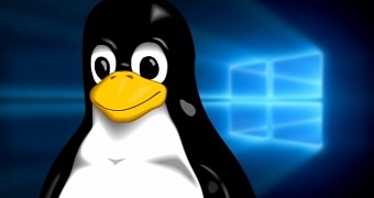 Linux could replace Windows in Hamburg