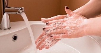 Study finds choosing an anti-bacterial soap over a regular one does not really make a difference