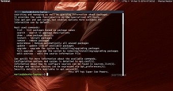 APT package manager in Ubuntu