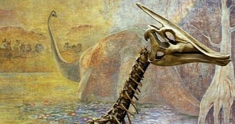 Baby Dinosaurs Found at “Dragon's Tomb” Site in Mongolia
