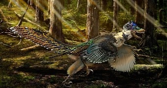 Bizarre Carnivorous Dinosaur Had Bird-like Wings but Couldn't Fly
