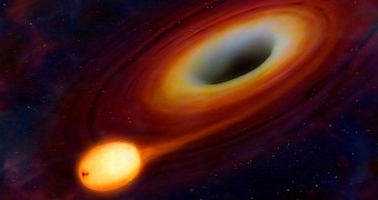 Black holes sometimes kick stars out of their home galaxies