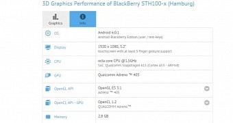 Blackberry Hamburg benchmark test