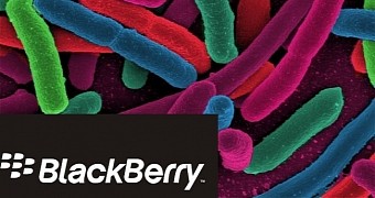BlackBerry might develop a bacteria-free phone