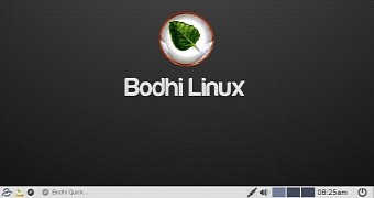 Bodhi Linux 3.1.0