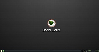Bodhi Linux 4.0.0 Officially Released Based on Ubuntu 16.04.1 LTS, Moksha 0.2.1
