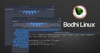 Bodhi Linux 5.0.0 Alpha